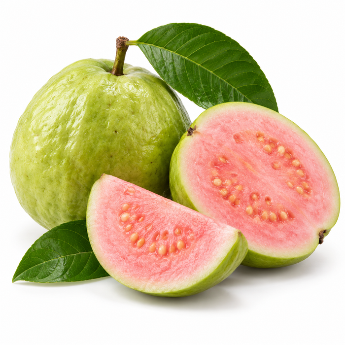 Guava Seed Oil