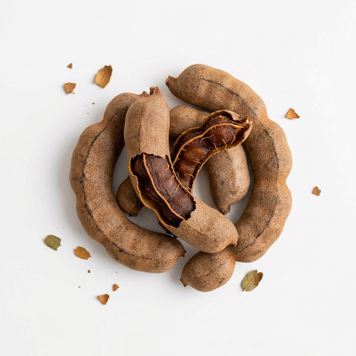 Tamarind Seed Extract