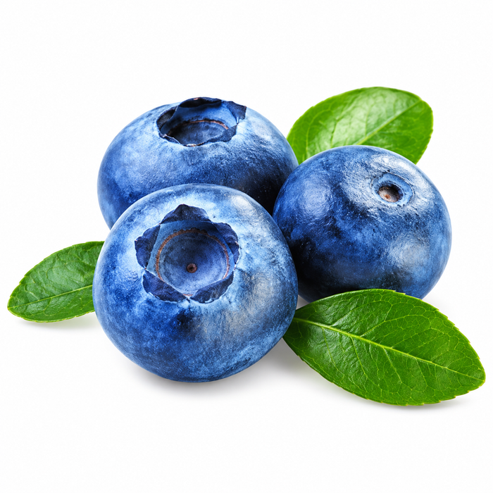 Blueberry Seed Oil