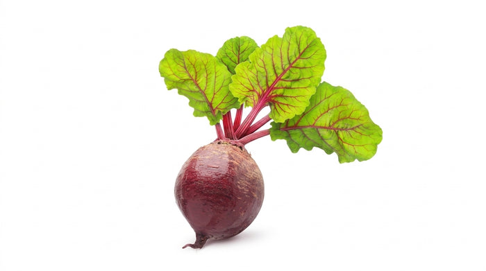 Beet Root Extract