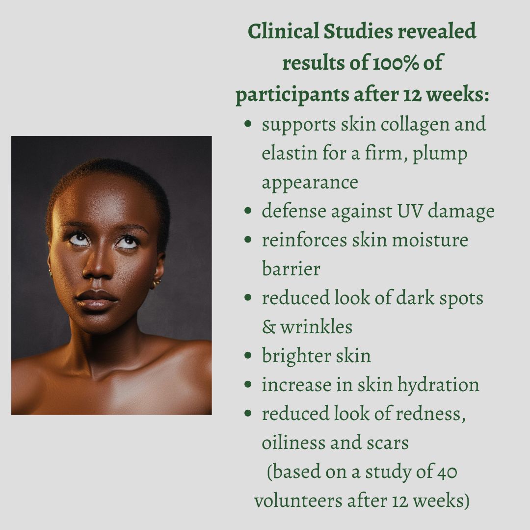 Balance and Brighten Day Cream