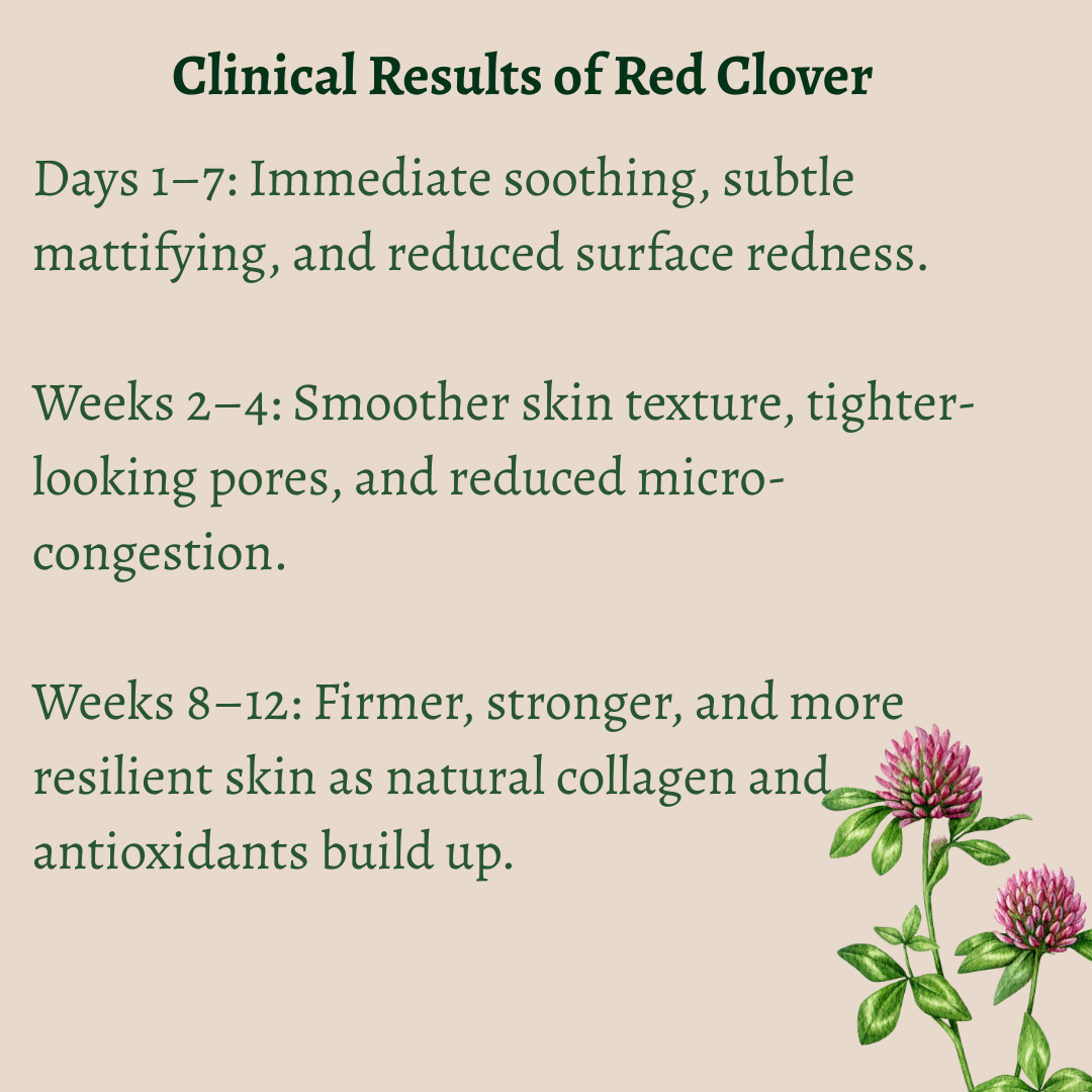 Red Clover & Zinc Phyto Elixir