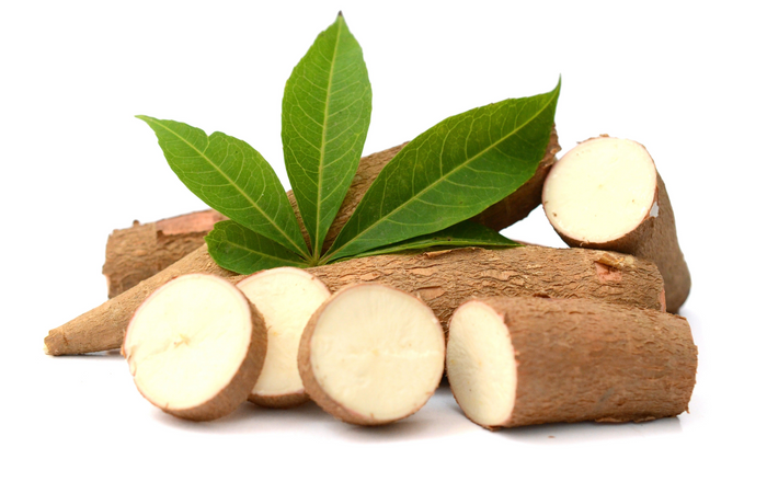 Yucca Extract