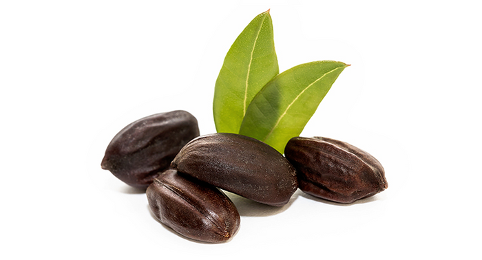 Jojoba Esters (Beads)
