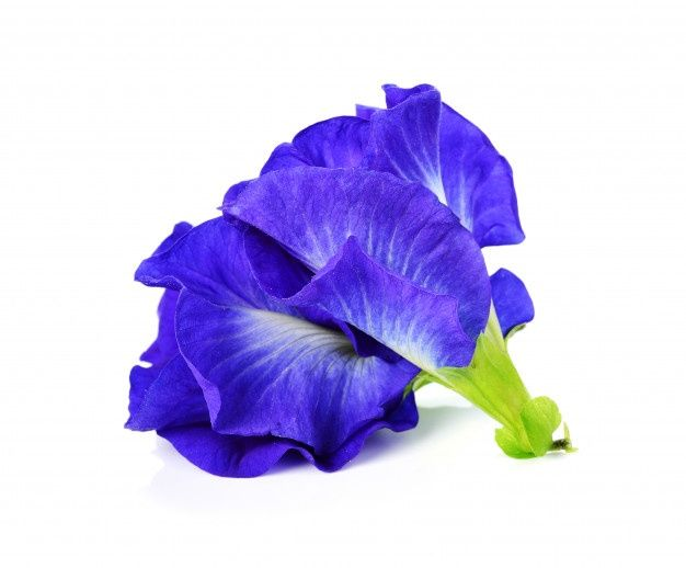 Butterfly Pea Flower Powder (Clitoria Ternatea)